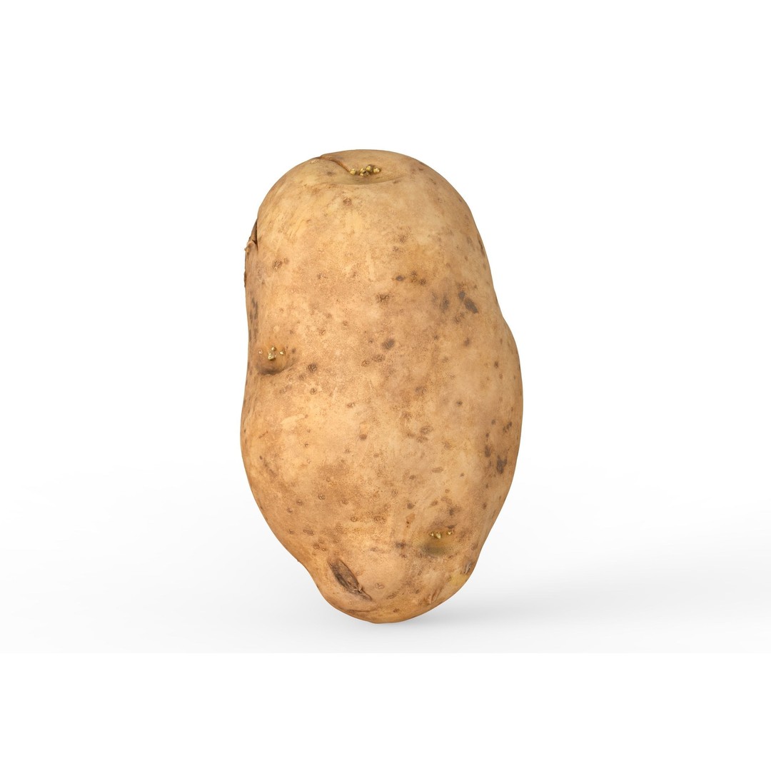 Potato 3D Model – Low Poly Game Asset, FBX & OBJ Formats - View 5