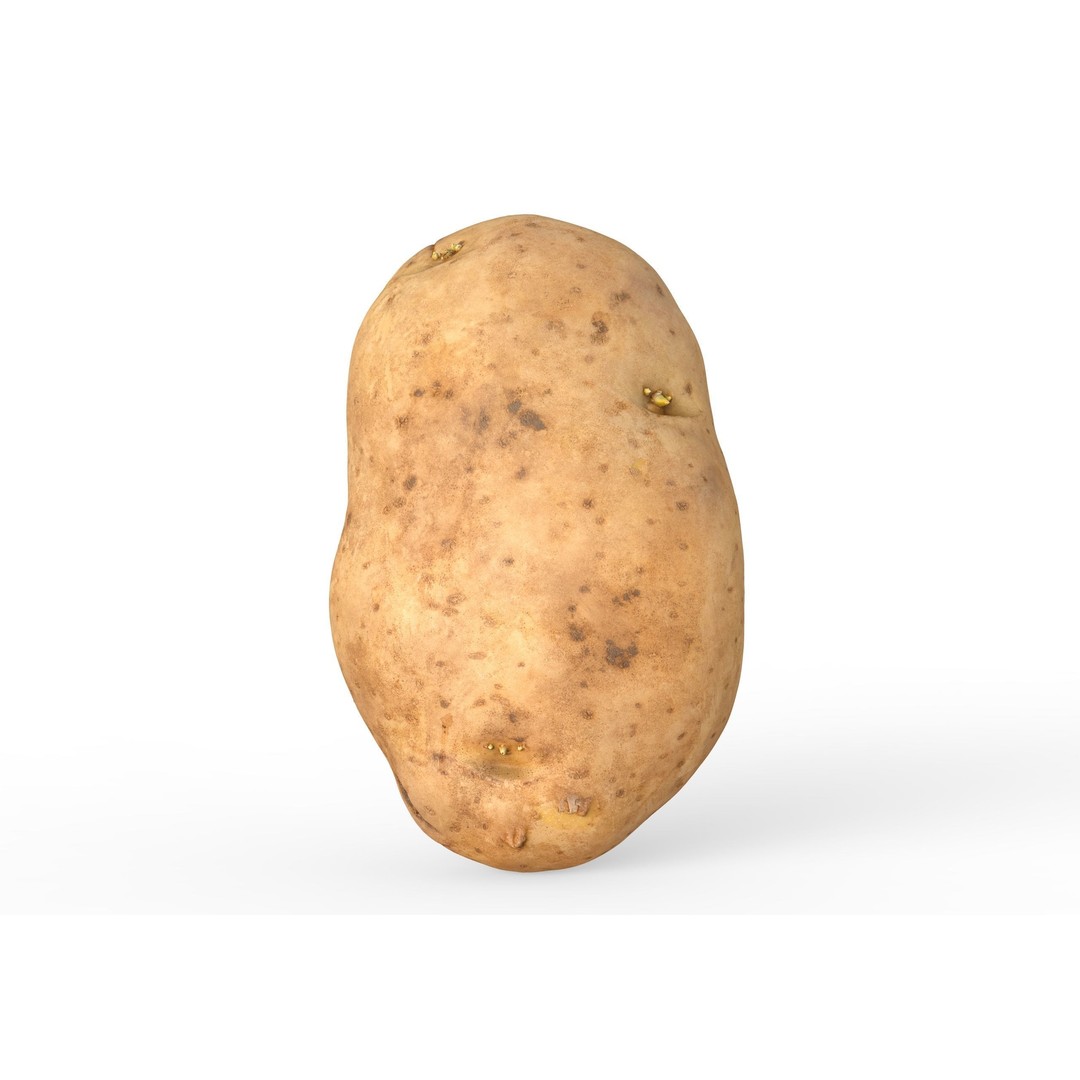 Potato 3D Model – Low Poly Game Asset, FBX & OBJ Formats - View 6