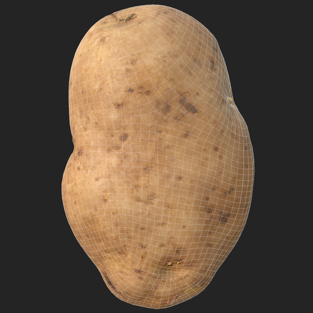 Potato 3D Model – Low Poly Game Asset, FBX & OBJ Formats - View 7