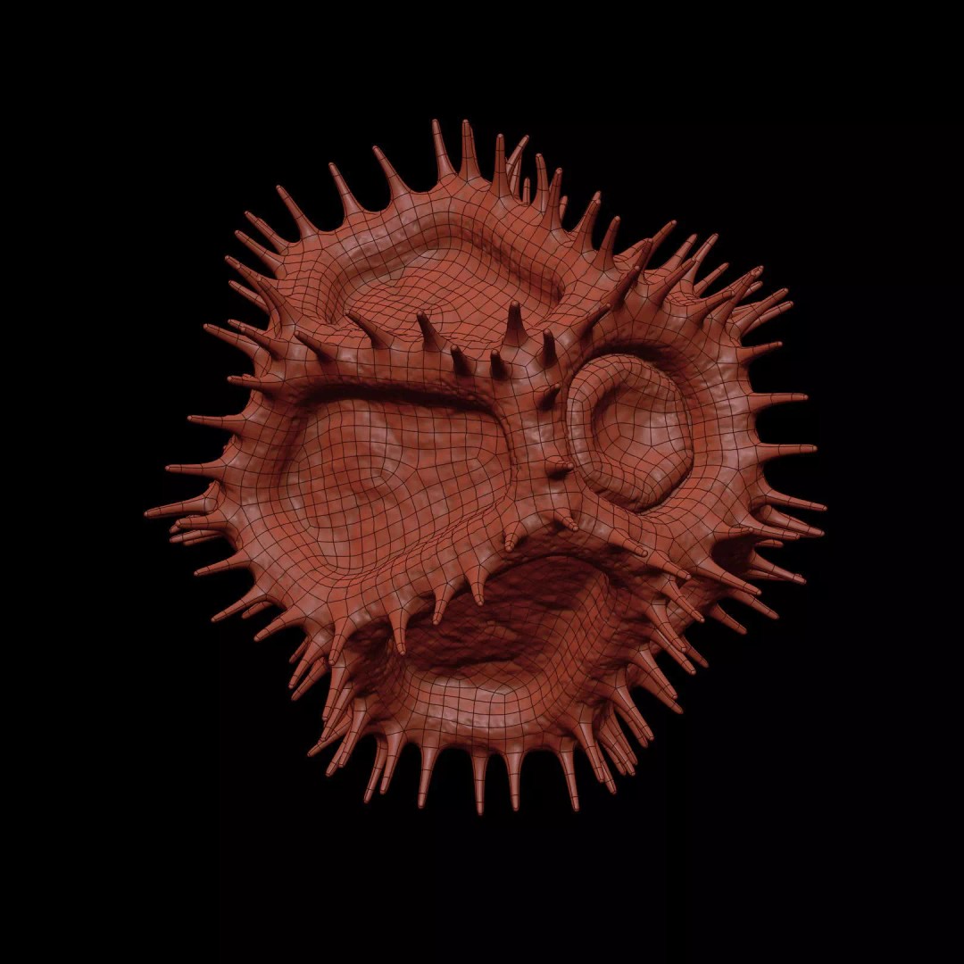 Chicory Pollen 3D Model – SEM-Style Scientific Visualization, PBR Textures - View 13