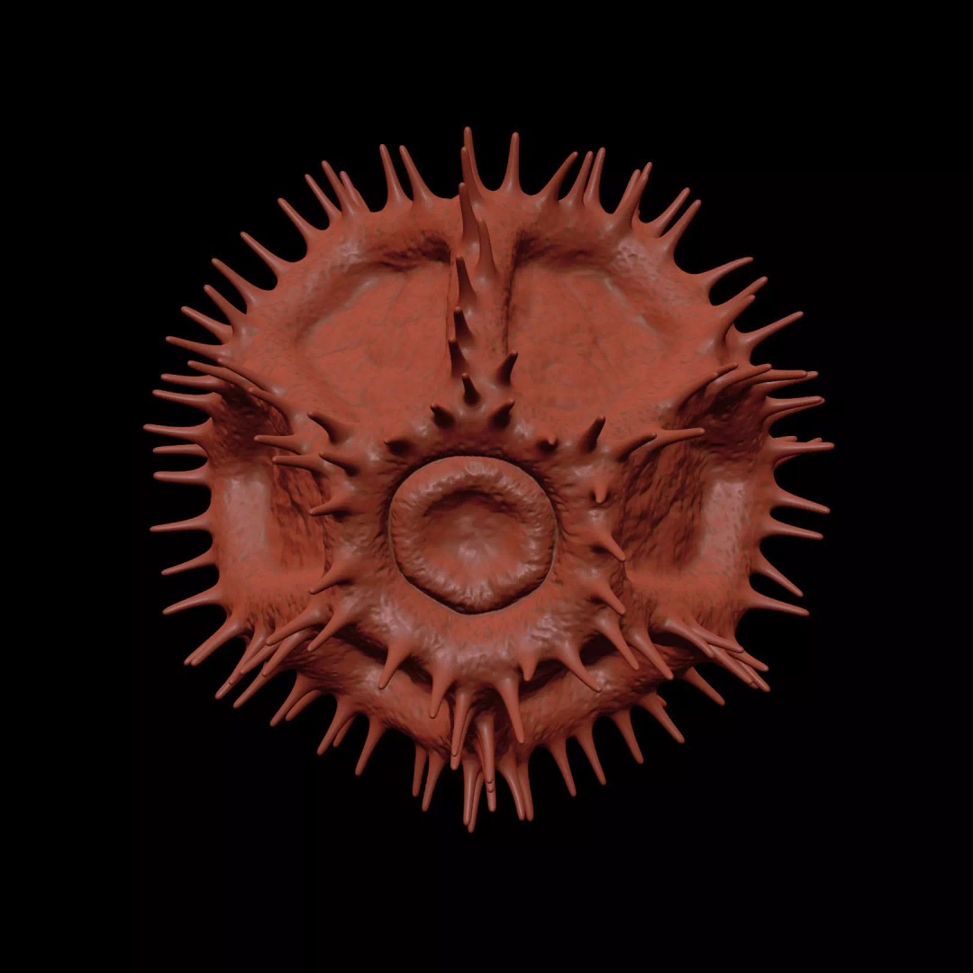 Chicory Pollen 3D Model – SEM-Style Scientific Visualization, PBR Textures - View 18