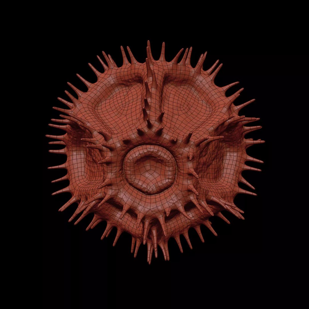 Chicory Pollen 3D Model – SEM-Style Scientific Visualization, PBR Textures - View 20