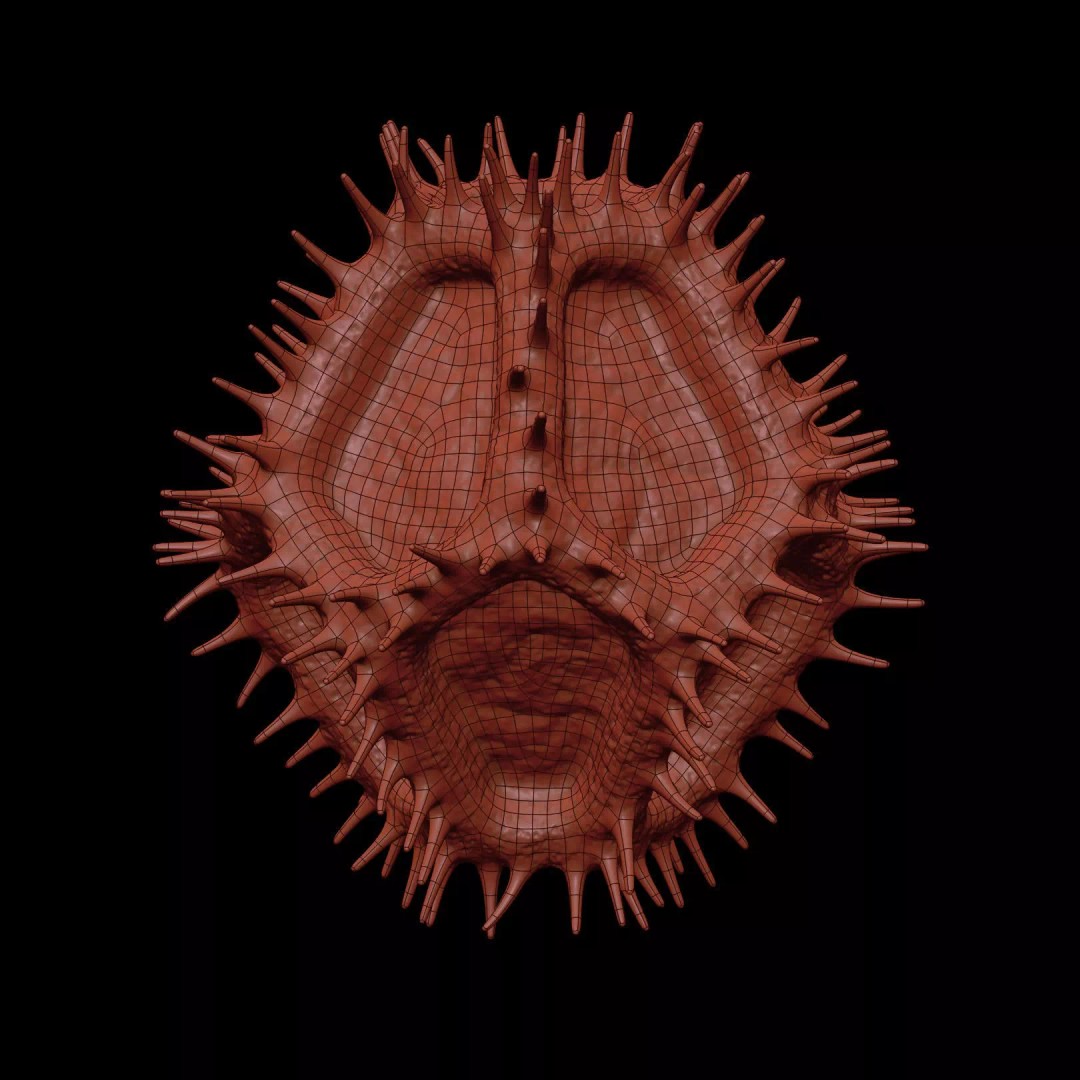 Chicory Pollen 3D Model – SEM-Style Scientific Visualization, PBR Textures - View 22