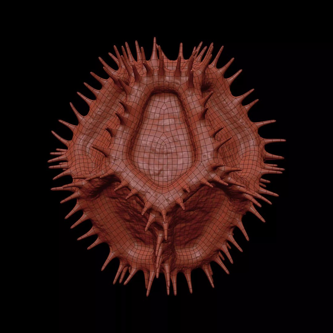 Chicory Pollen 3D Model – SEM-Style Scientific Visualization, PBR Textures - View 9