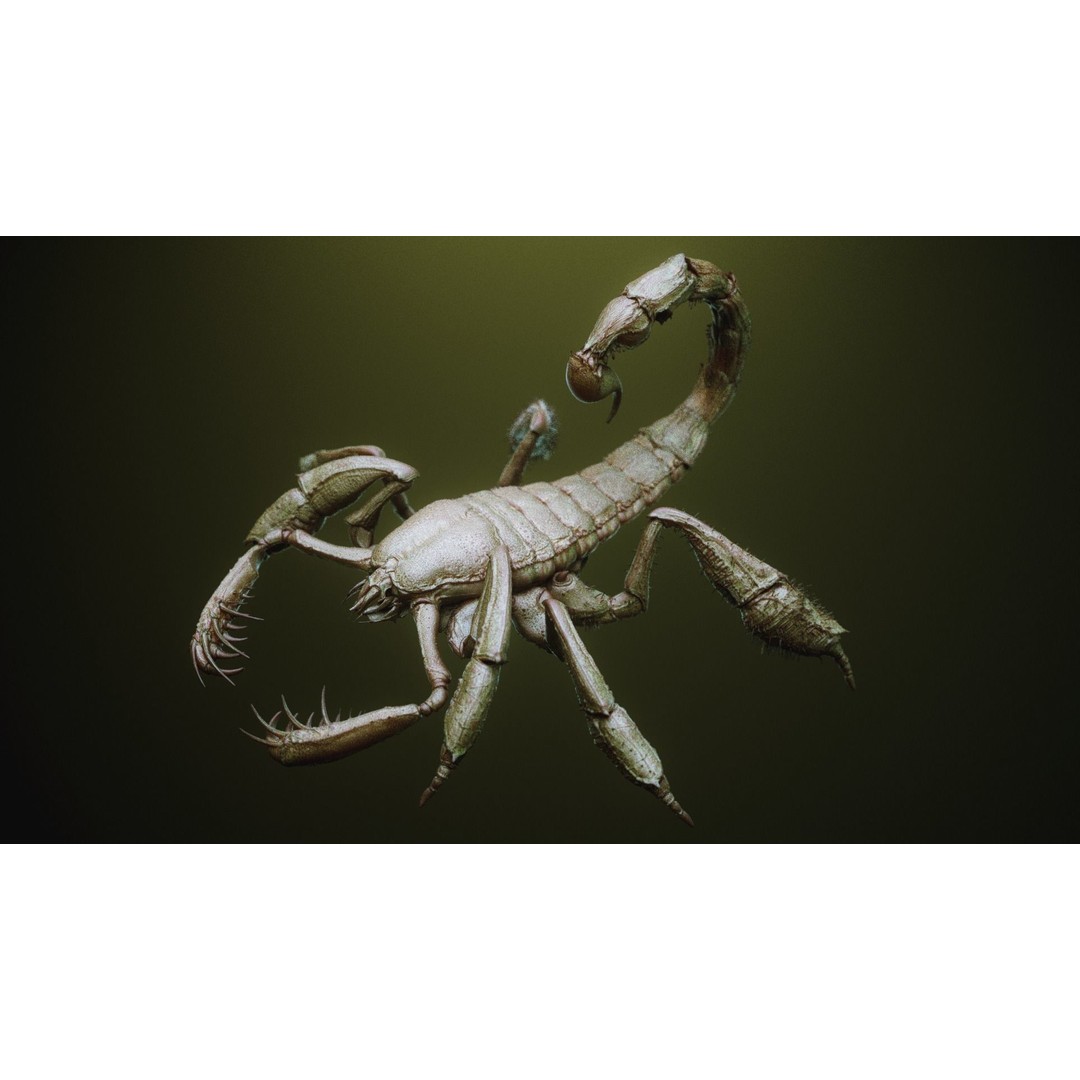 iNSEKt 3D Model – High Poly Creature Parts Kitbash for Zbrush - View 11