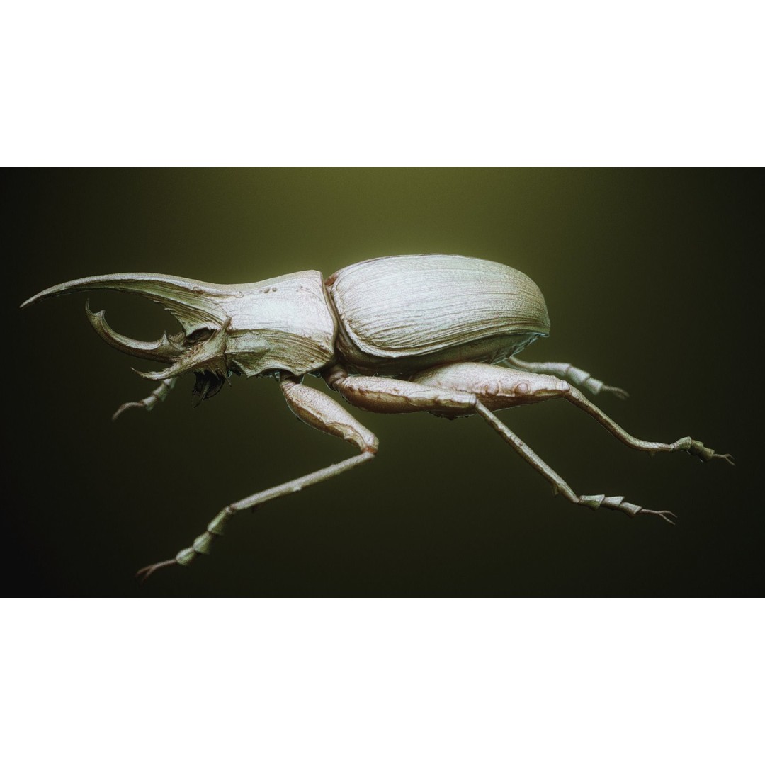 iNSEKt 3D Model – High Poly Creature Parts Kitbash for Zbrush - View 22