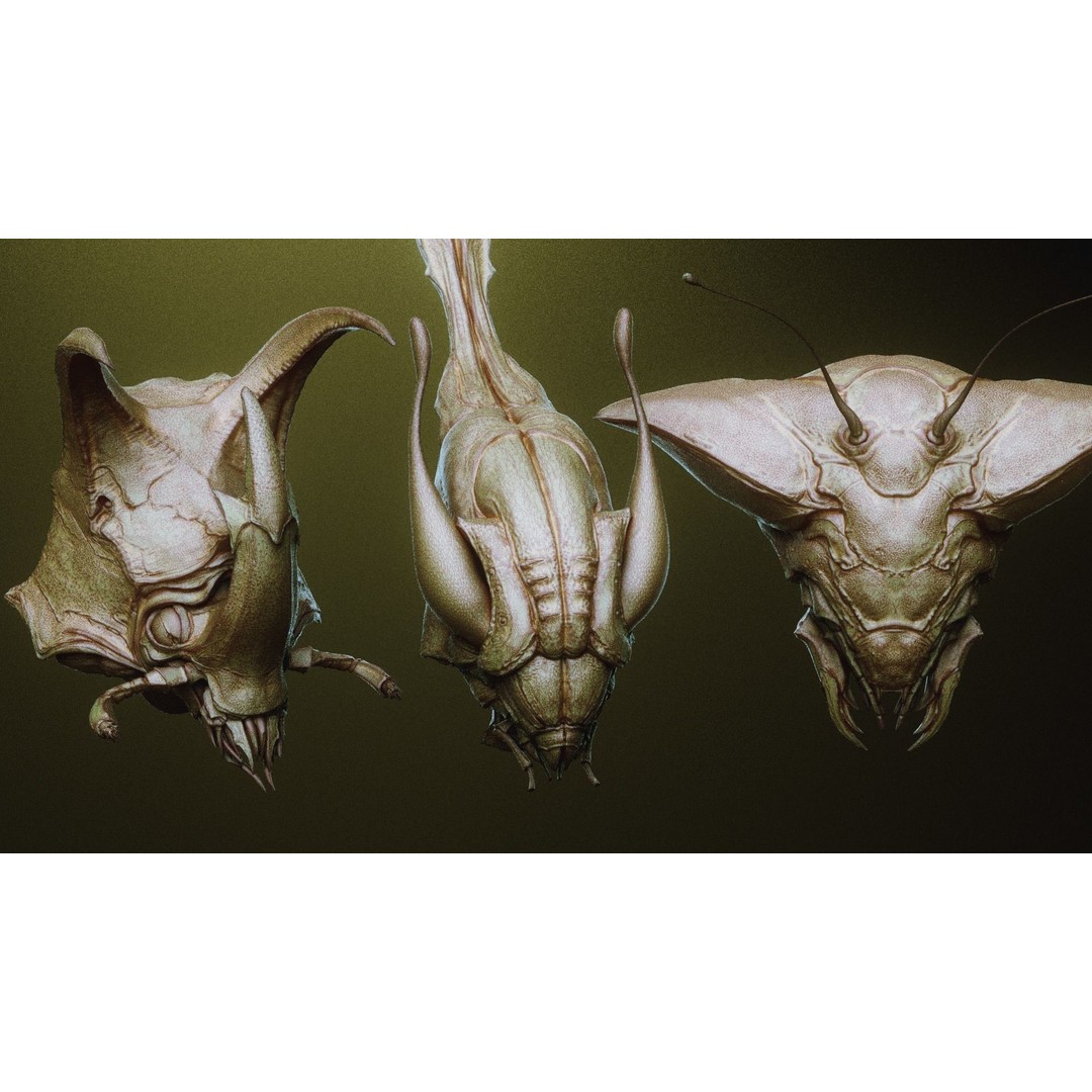 iNSEKt 3D Model – High Poly Creature Parts Kitbash for Zbrush - View 25