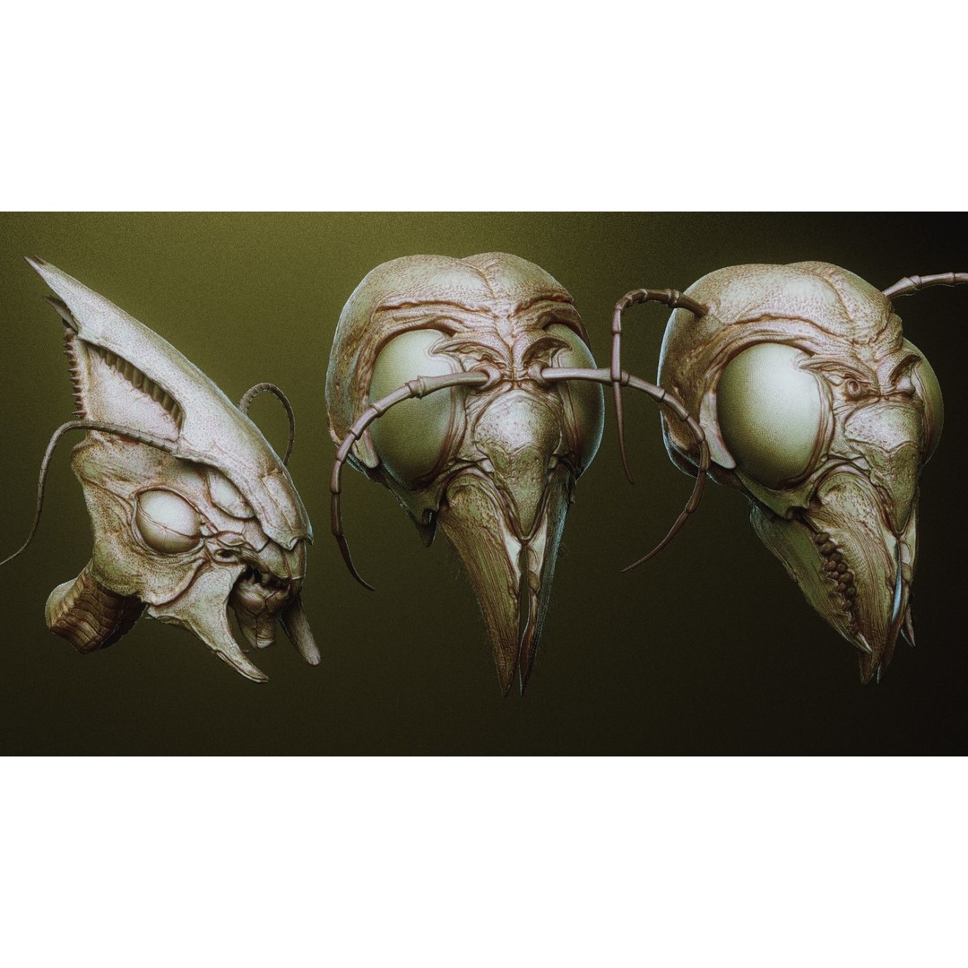 iNSEKt 3D Model – High Poly Creature Parts Kitbash for Zbrush - View 27