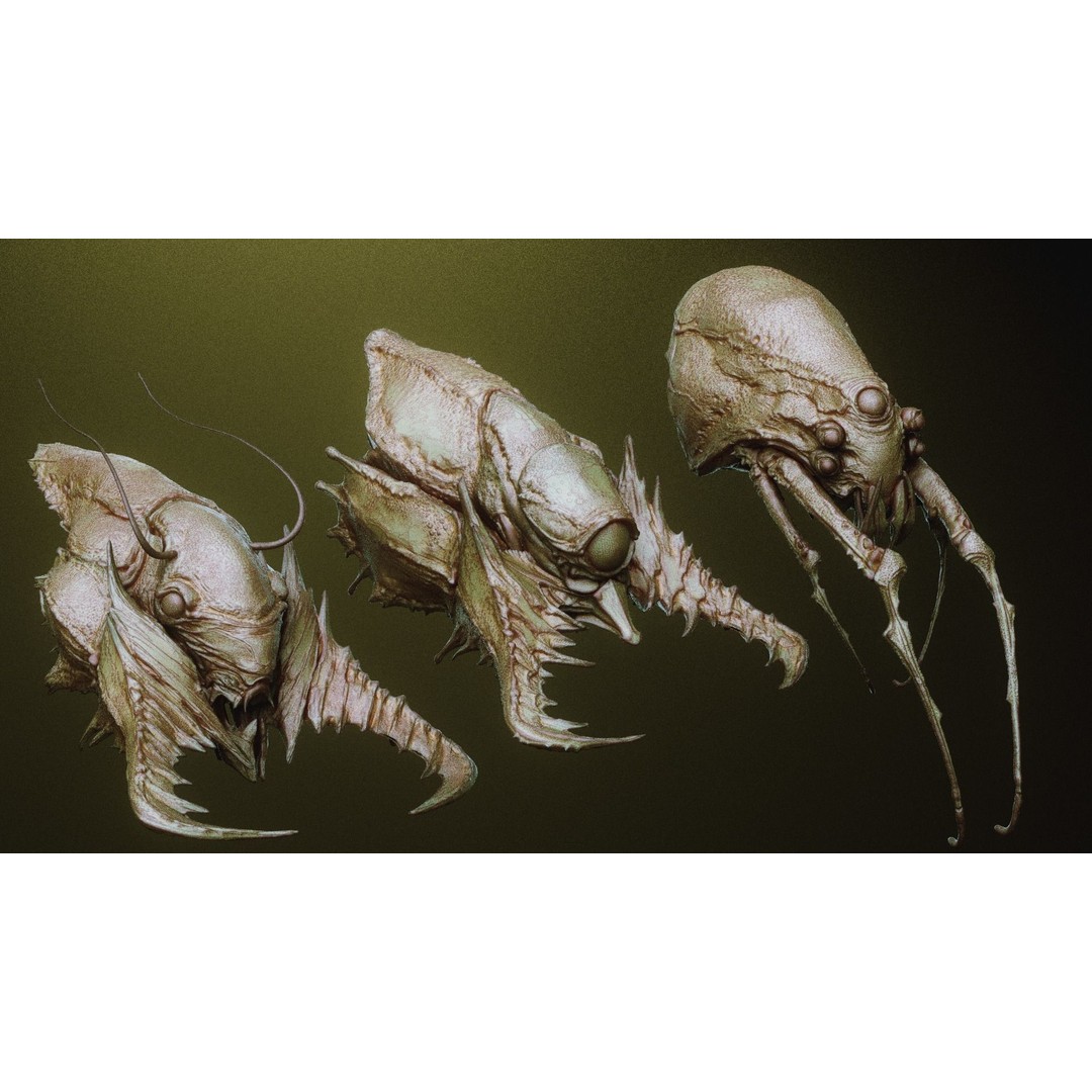 iNSEKt 3D Model – High Poly Creature Parts Kitbash for Zbrush - View 31