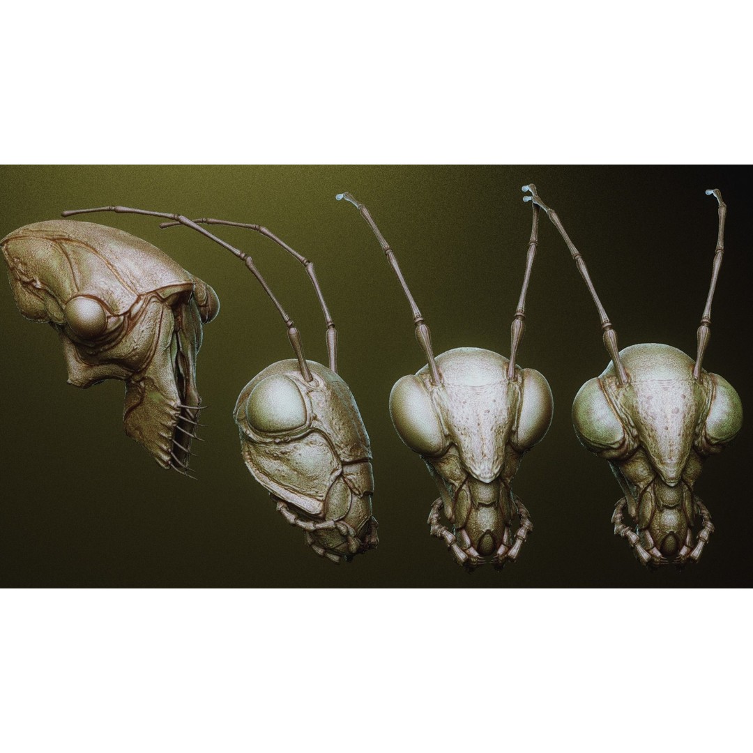 iNSEKt 3D Model – High Poly Creature Parts Kitbash for Zbrush - View 33