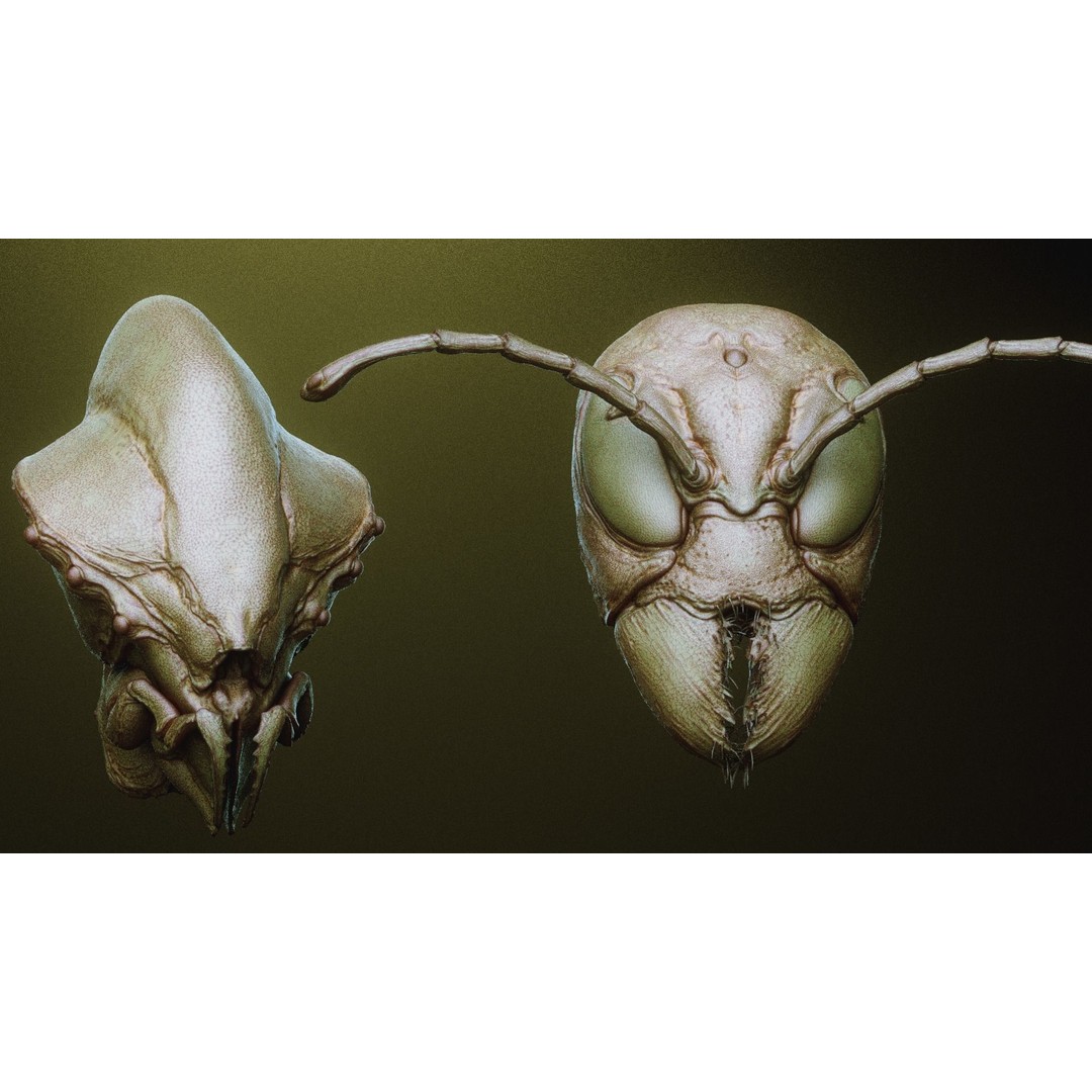 iNSEKt 3D Model – High Poly Creature Parts Kitbash for Zbrush - View 34