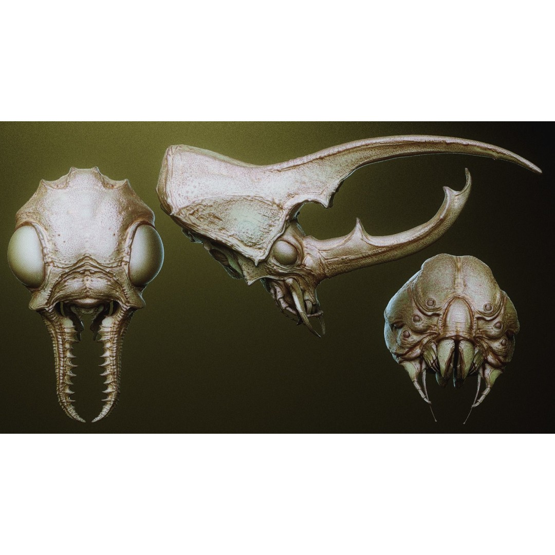 iNSEKt 3D Model – High Poly Creature Parts Kitbash for Zbrush - View 35