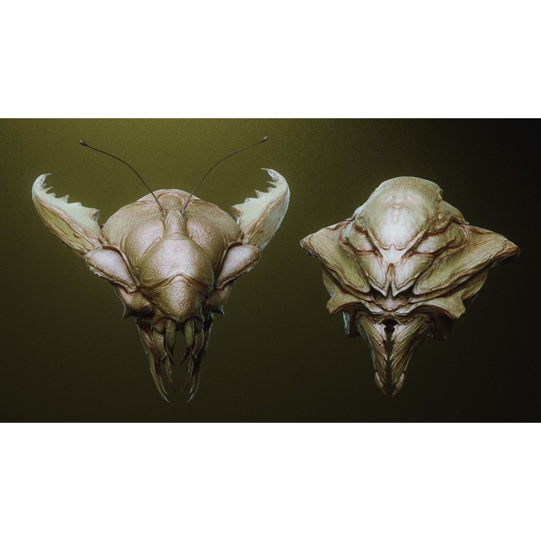 iNSEKt 3D Model – High Poly Creature Parts Kitbash for Zbrush - View 38