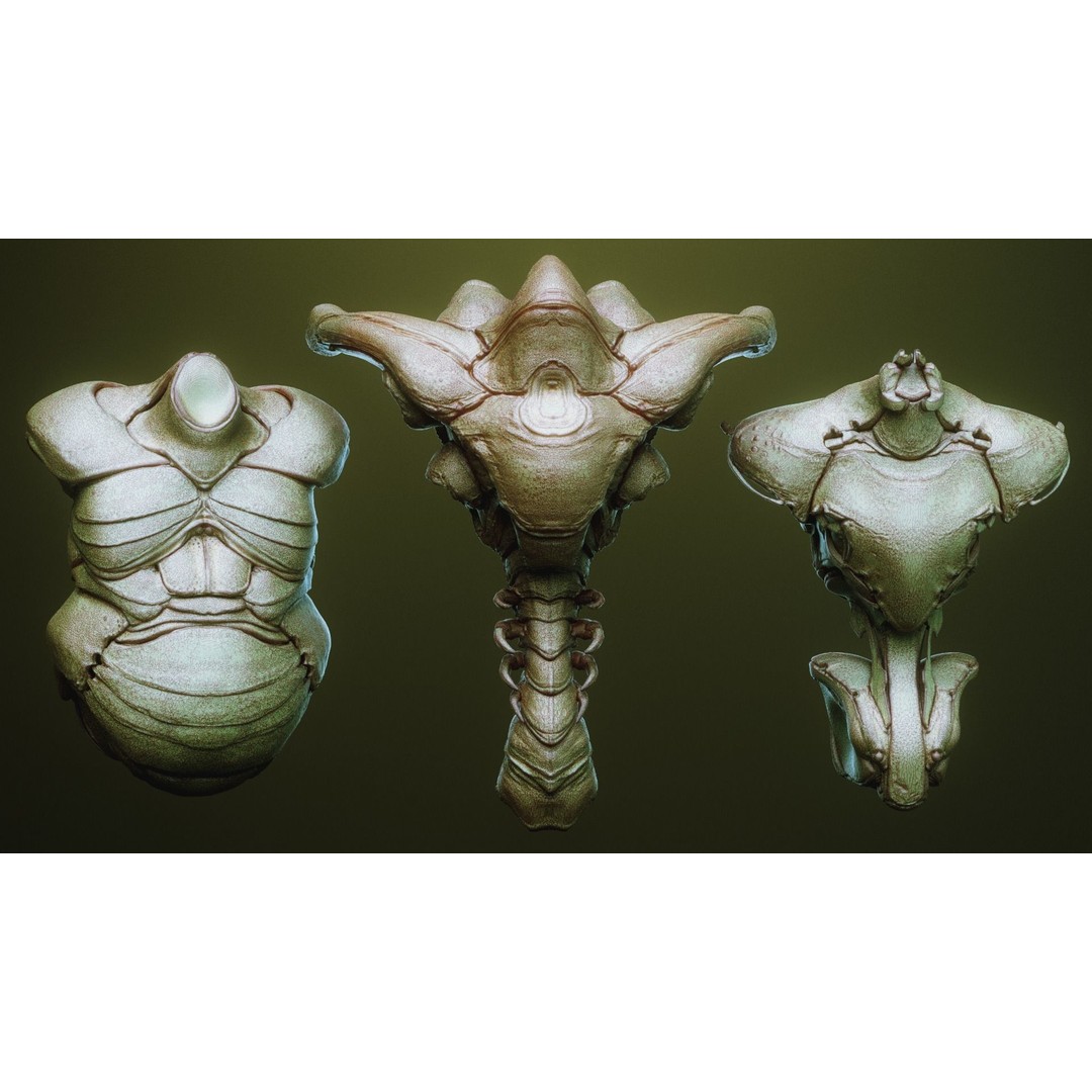 iNSEKt 3D Model – High Poly Creature Parts Kitbash for Zbrush - View 45