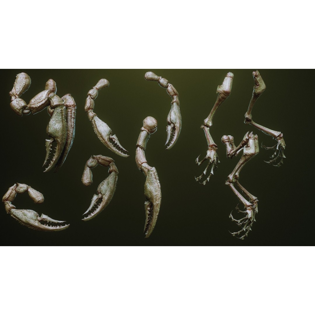 iNSEKt 3D Model – High Poly Creature Parts Kitbash for Zbrush - View 46