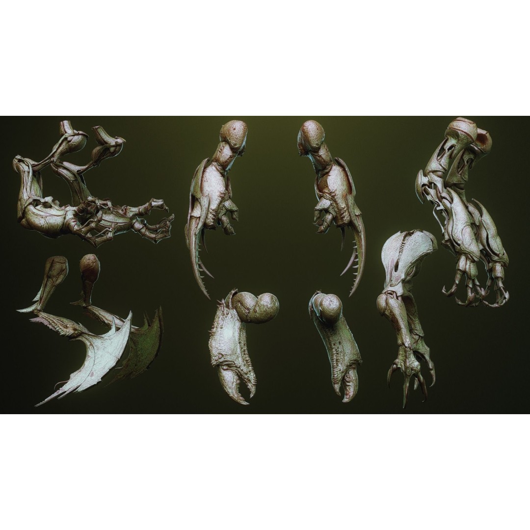 iNSEKt 3D Model – High Poly Creature Parts Kitbash for Zbrush - View 50