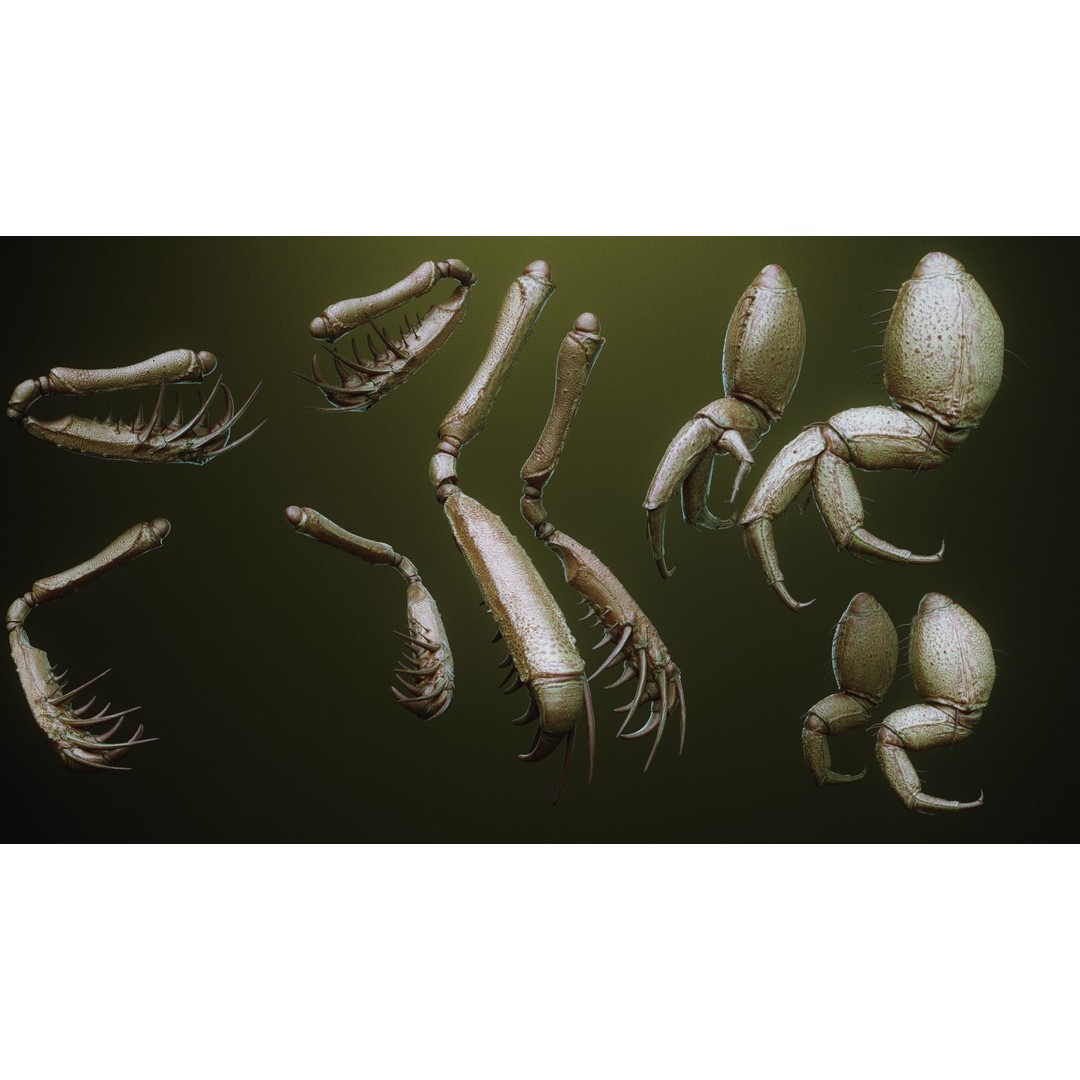 iNSEKt 3D Model – High Poly Creature Parts Kitbash for Zbrush - View 52