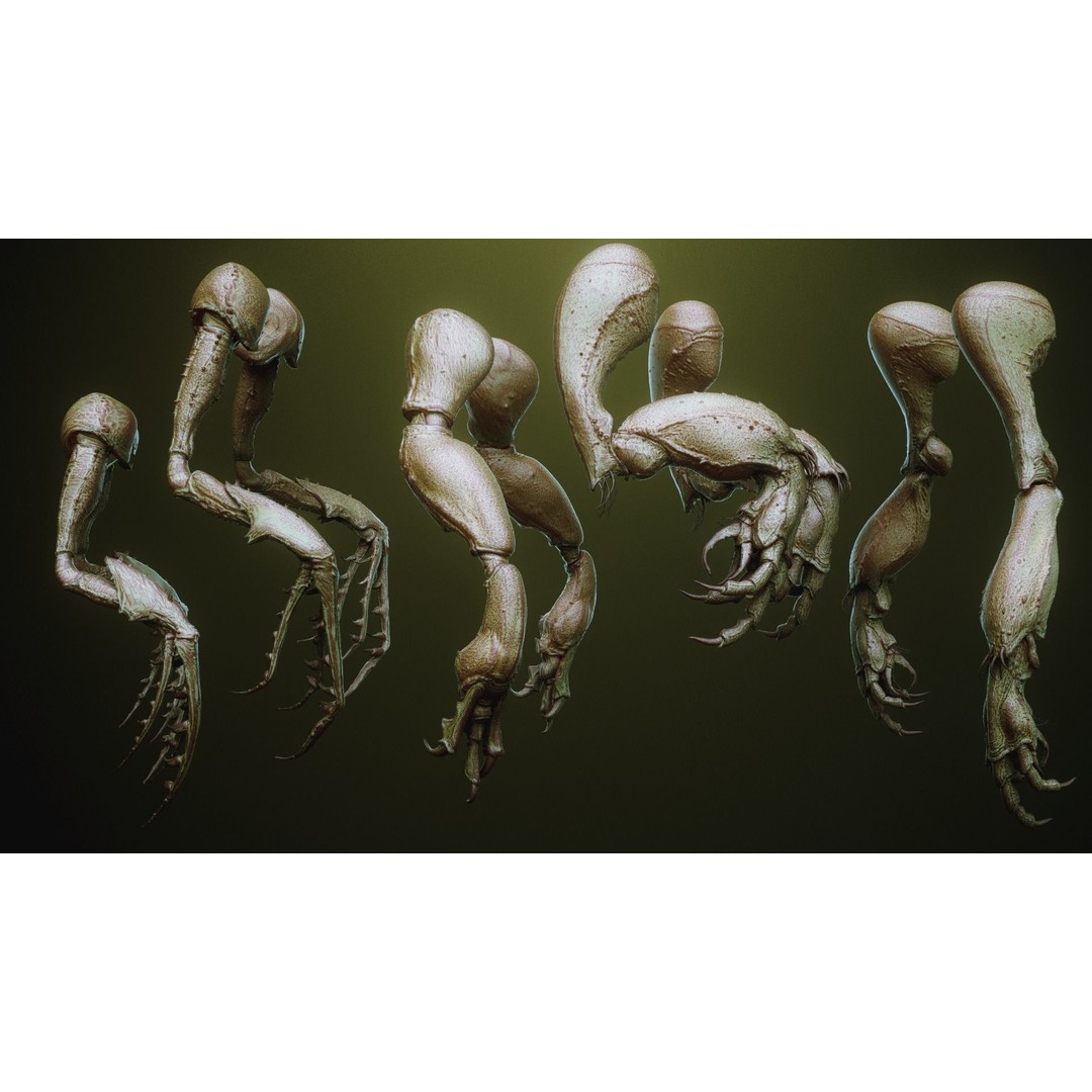 iNSEKt 3D Model – High Poly Creature Parts Kitbash for Zbrush - View 55