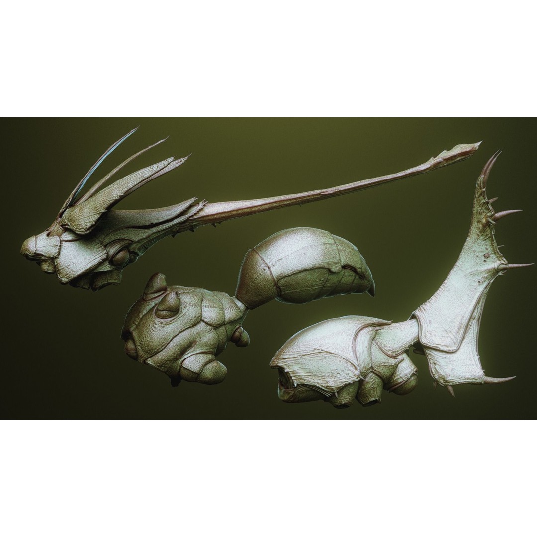 iNSEKt 3D Model – High Poly Creature Parts Kitbash for Zbrush - View 57