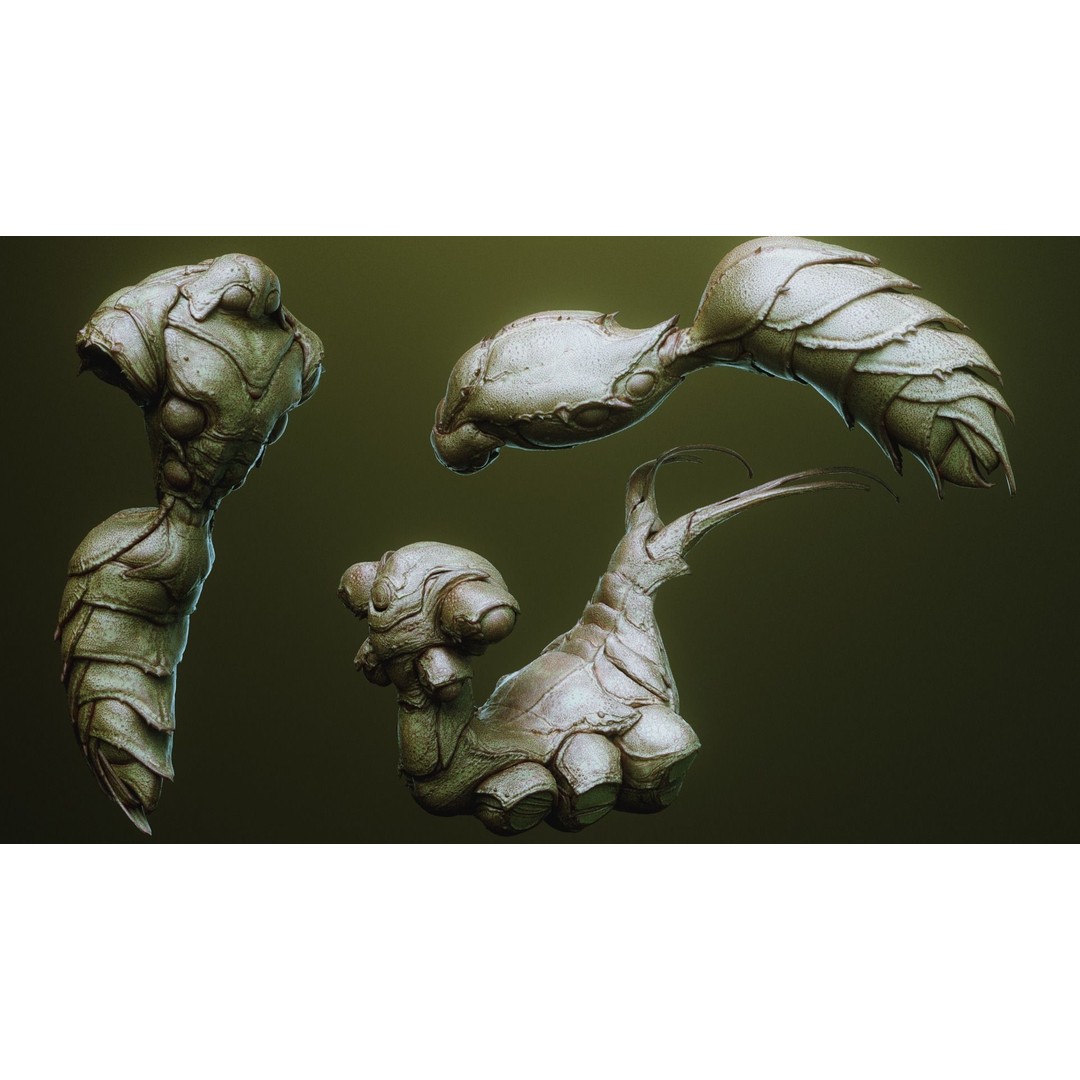 iNSEKt 3D Model – High Poly Creature Parts Kitbash for Zbrush - View 58
