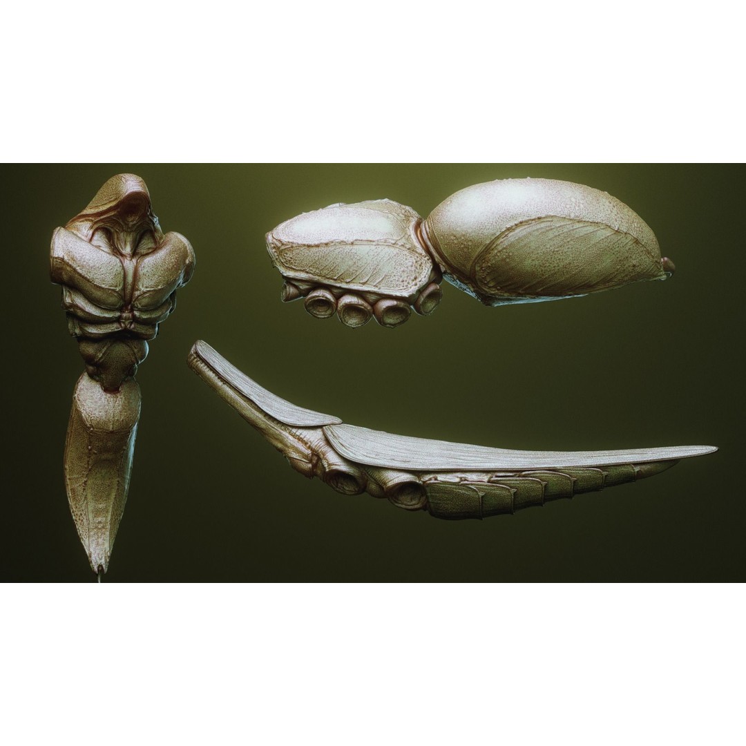 iNSEKt 3D Model – High Poly Creature Parts Kitbash for Zbrush - View 60