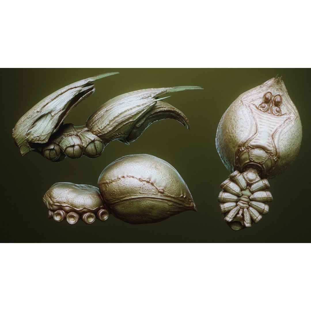 iNSEKt 3D Model – High Poly Creature Parts Kitbash for Zbrush - View 61