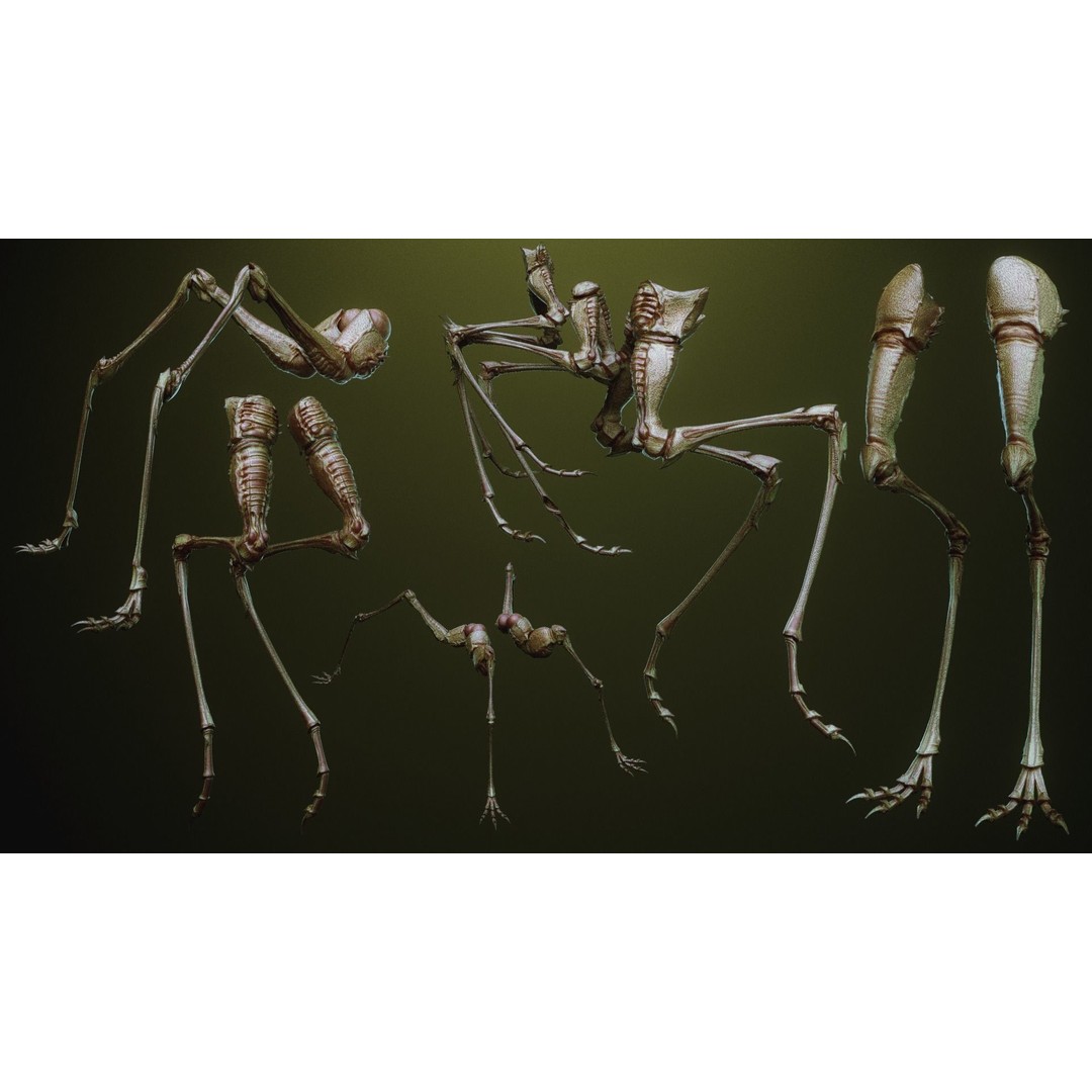 iNSEKt 3D Model – High Poly Creature Parts Kitbash for Zbrush - View 63