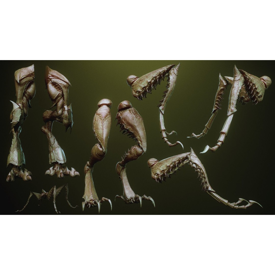 iNSEKt 3D Model – High Poly Creature Parts Kitbash for Zbrush - View 64