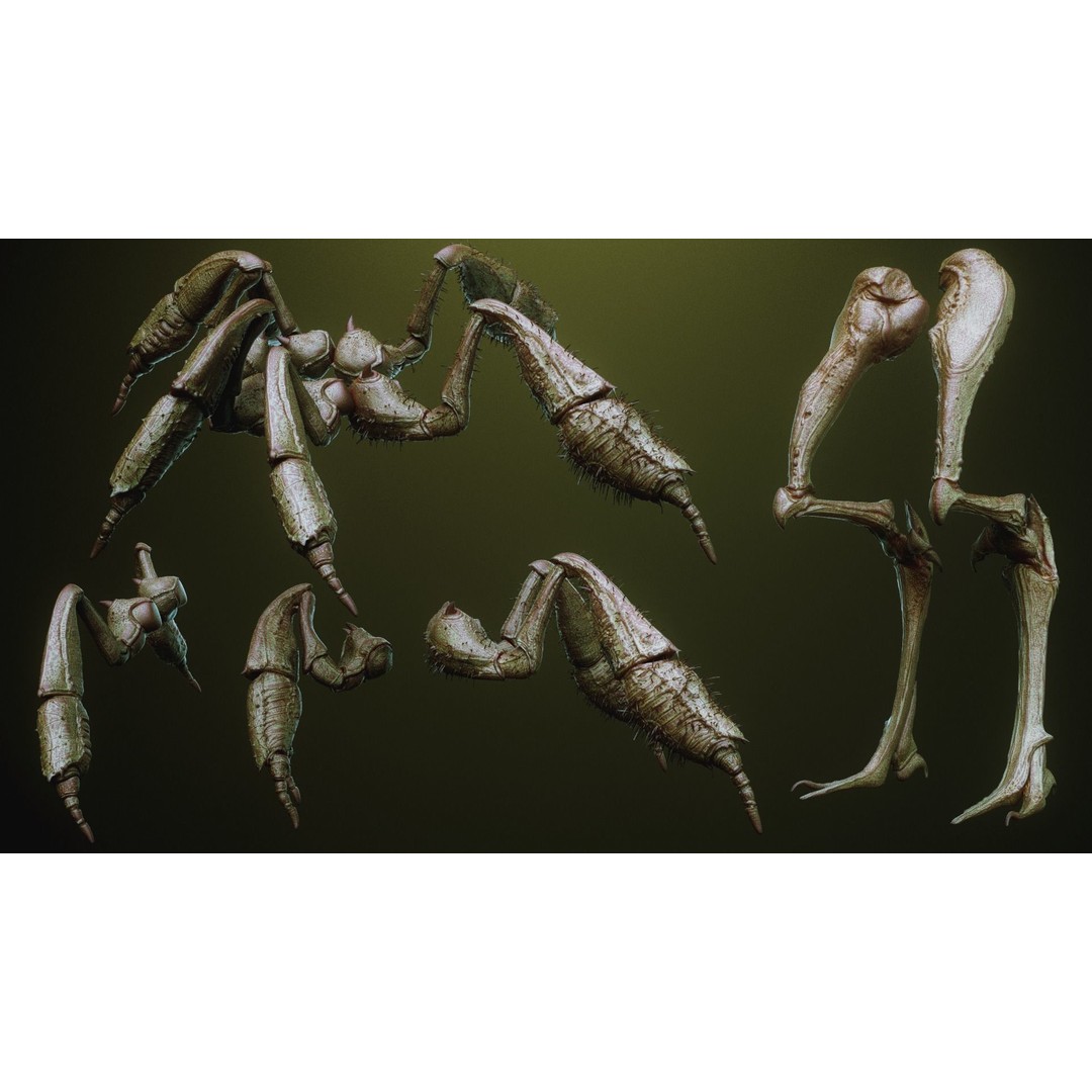iNSEKt 3D Model – High Poly Creature Parts Kitbash for Zbrush - View 74
