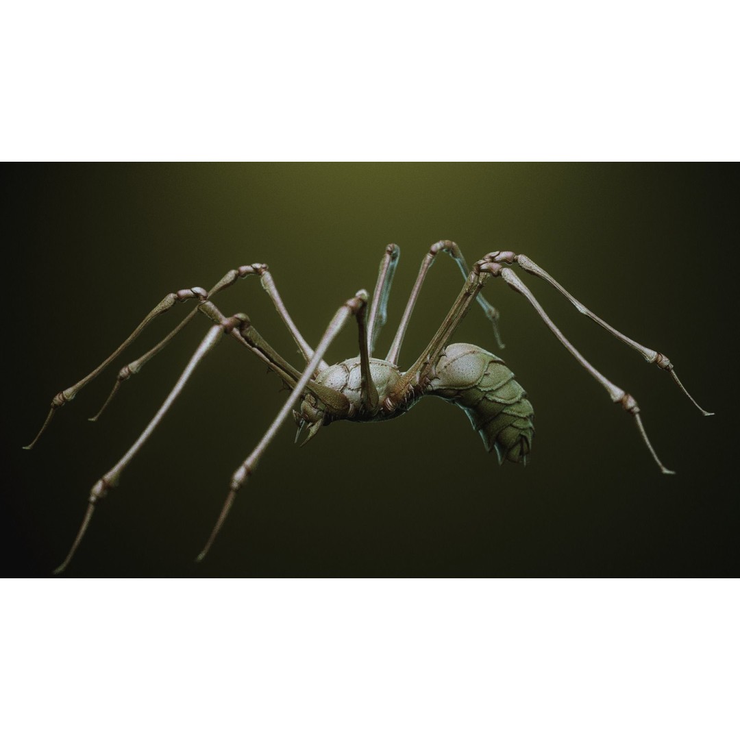 iNSEKt 3D Model – High Poly Creature Parts Kitbash for Zbrush - View 8
