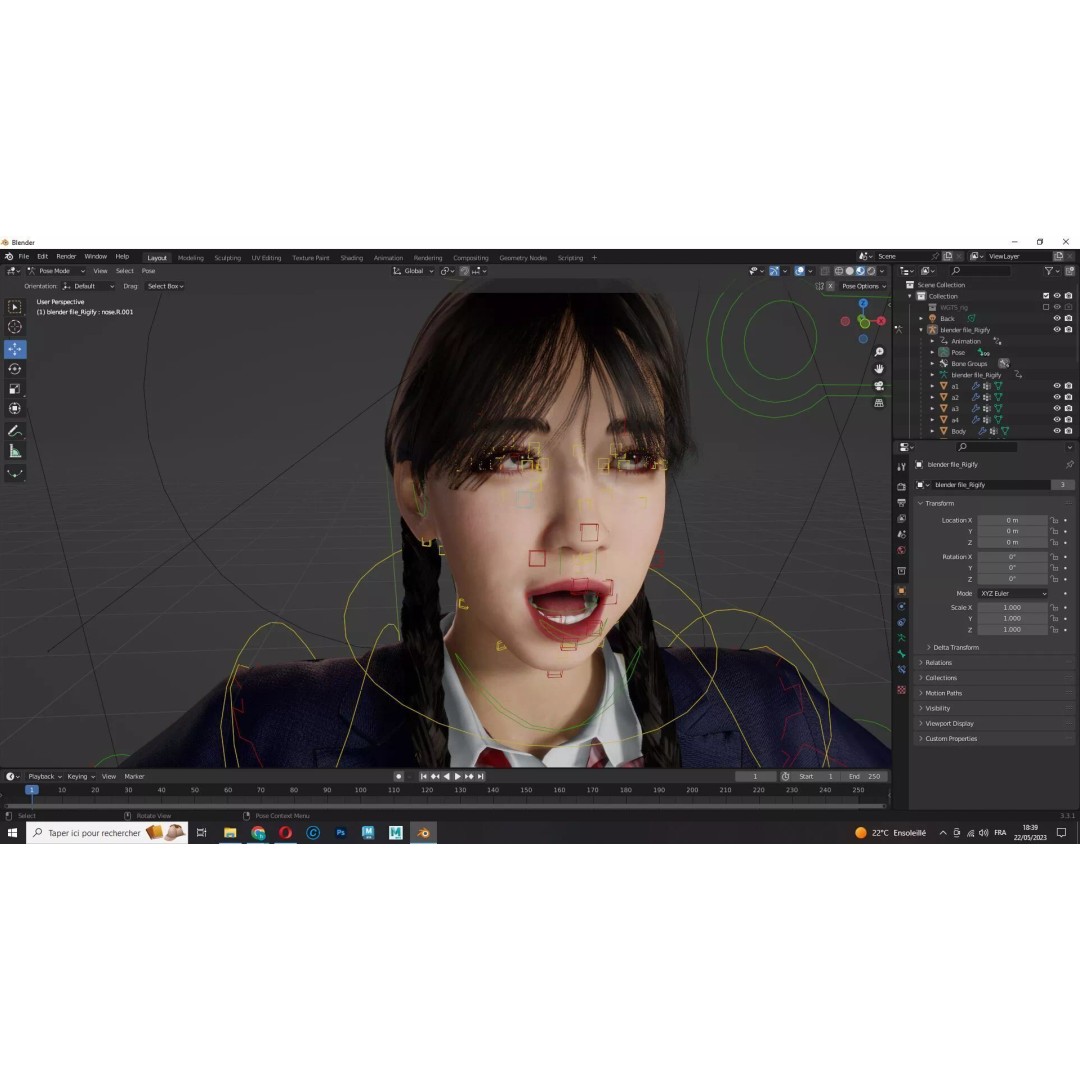 Sakura Kurohana 3D Model – Low Poly Rigged Character, FBX - View 18
