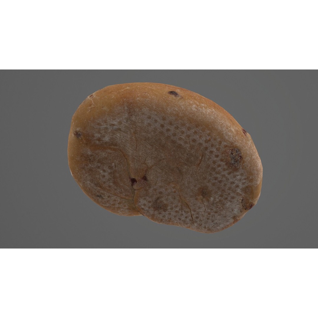 Cranberry Bread 3D Model – Low Poly PBR Game Asset, FBX - View 12