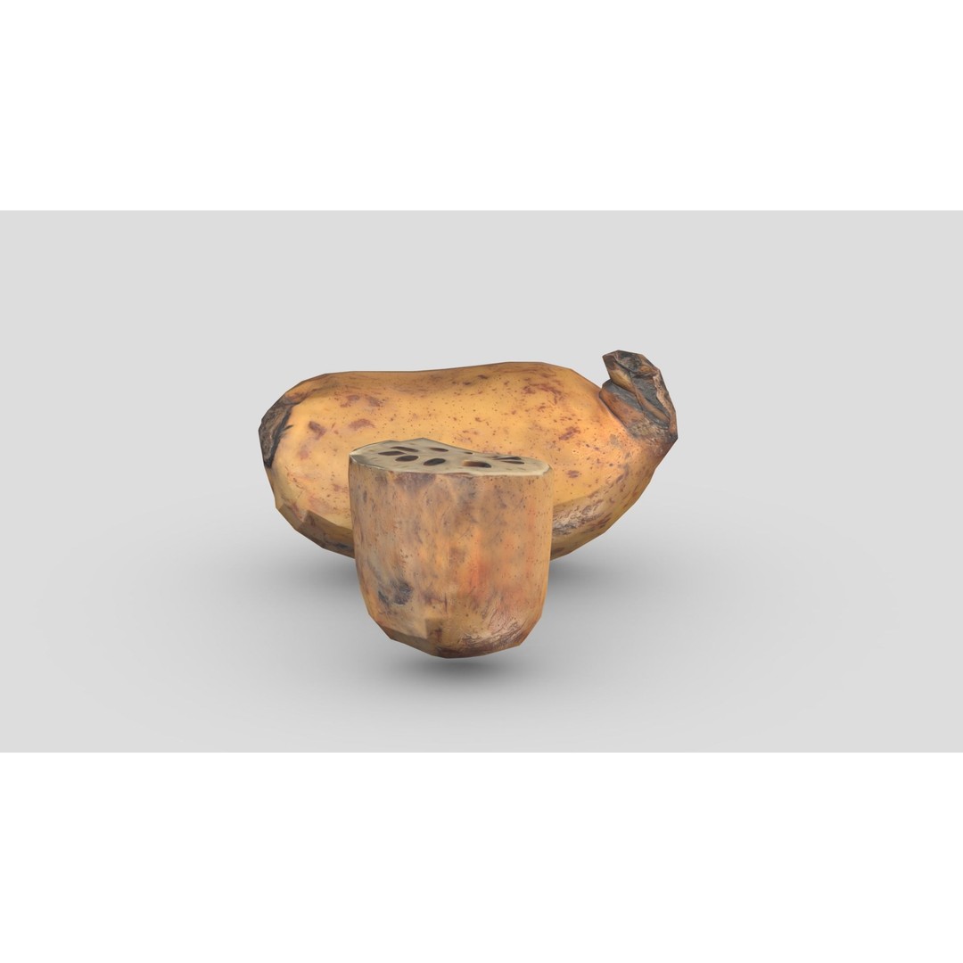Lotus Root 3D Model – Low Poly Game Asset, PBR Textures, FBX - View 10