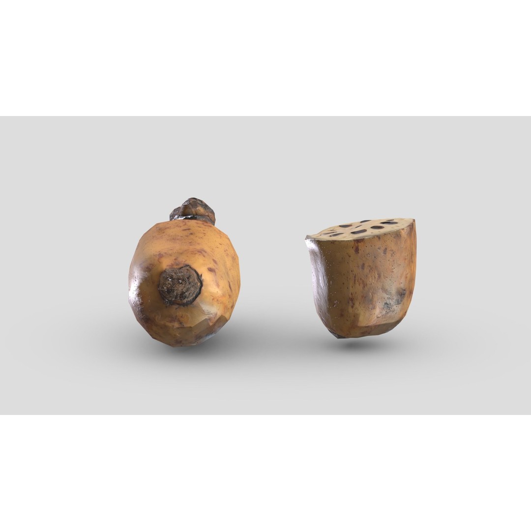 Lotus Root 3D Model – Low Poly Game Asset, PBR Textures, FBX - View 11