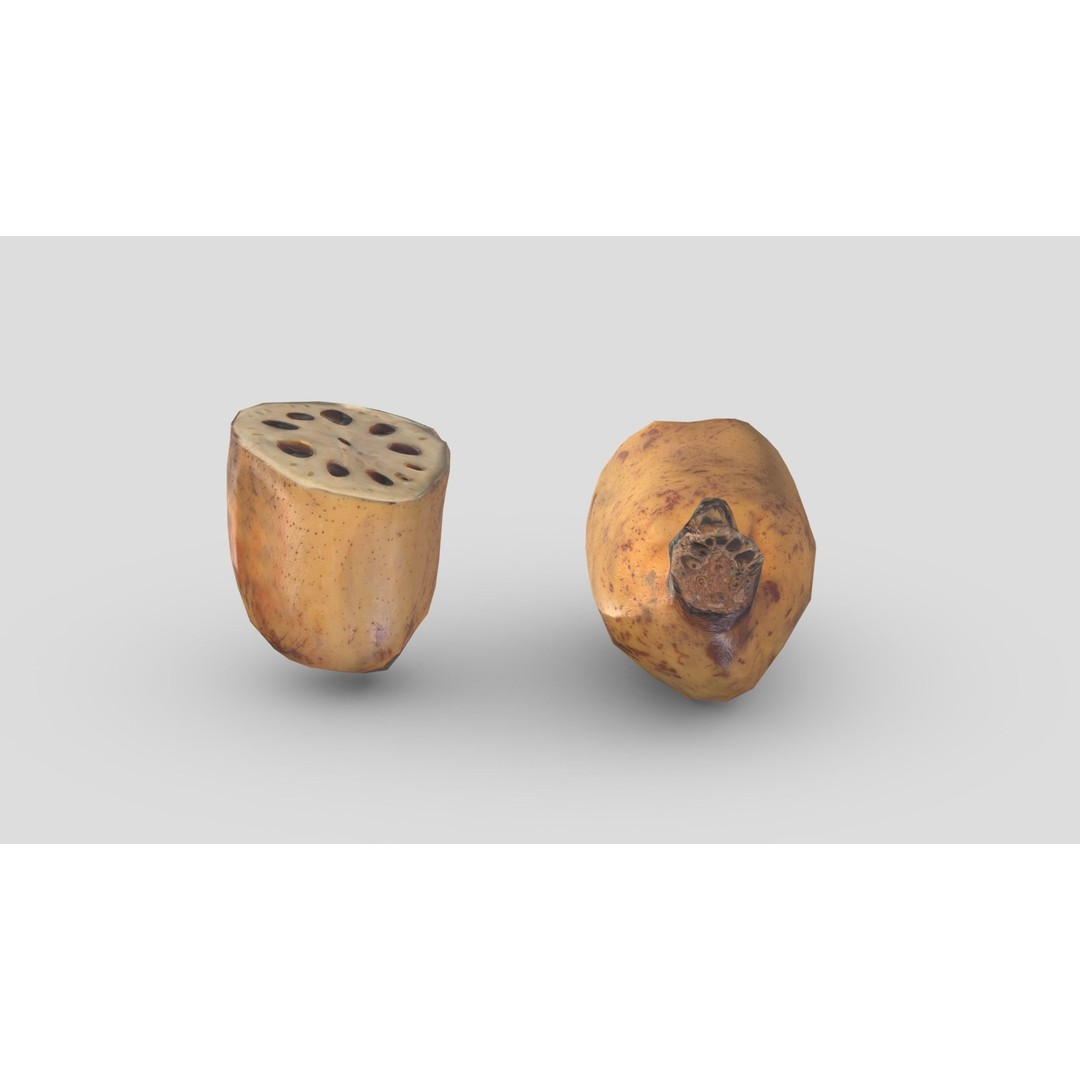 Lotus Root 3D Model – Low Poly Game Asset, PBR Textures, FBX - View 15