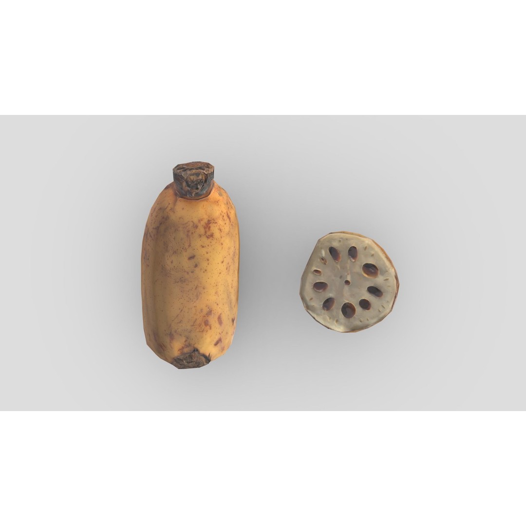 Lotus Root 3D Model – Low Poly Game Asset, PBR Textures, FBX - View 16