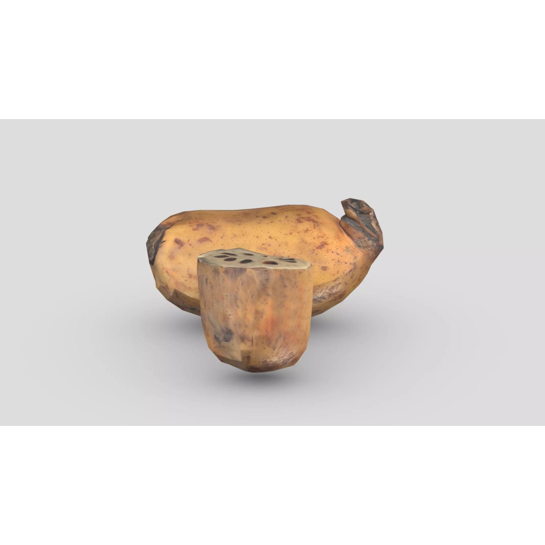 Lotus Root 3D Model – Low Poly Game Asset, PBR Textures, FBX - View 2