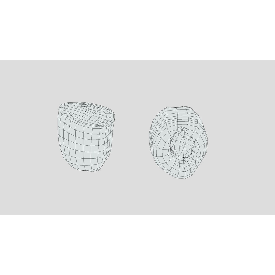 Lotus Root 3D Model – Low Poly Game Asset, PBR Textures, FBX - View 5