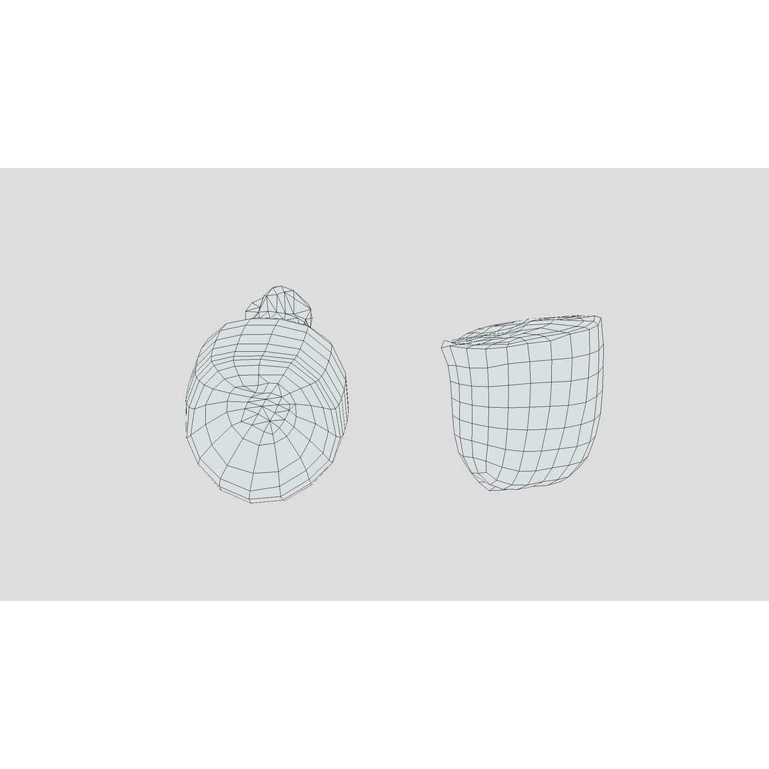 Lotus Root 3D Model – Low Poly Game Asset, PBR Textures, FBX - View 7