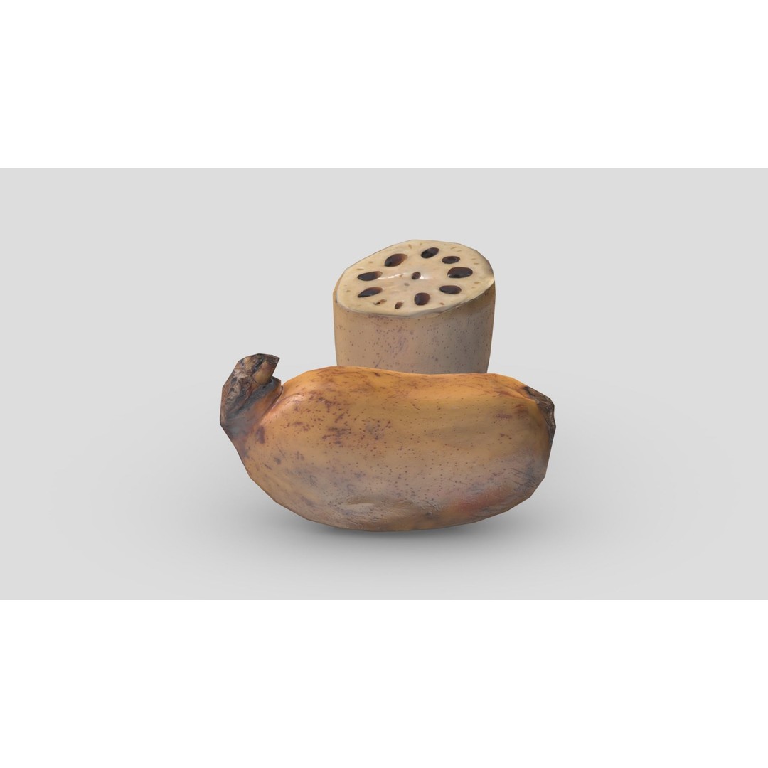 Lotus Root 3D Model – Low Poly Game Asset, PBR Textures, FBX - View 8