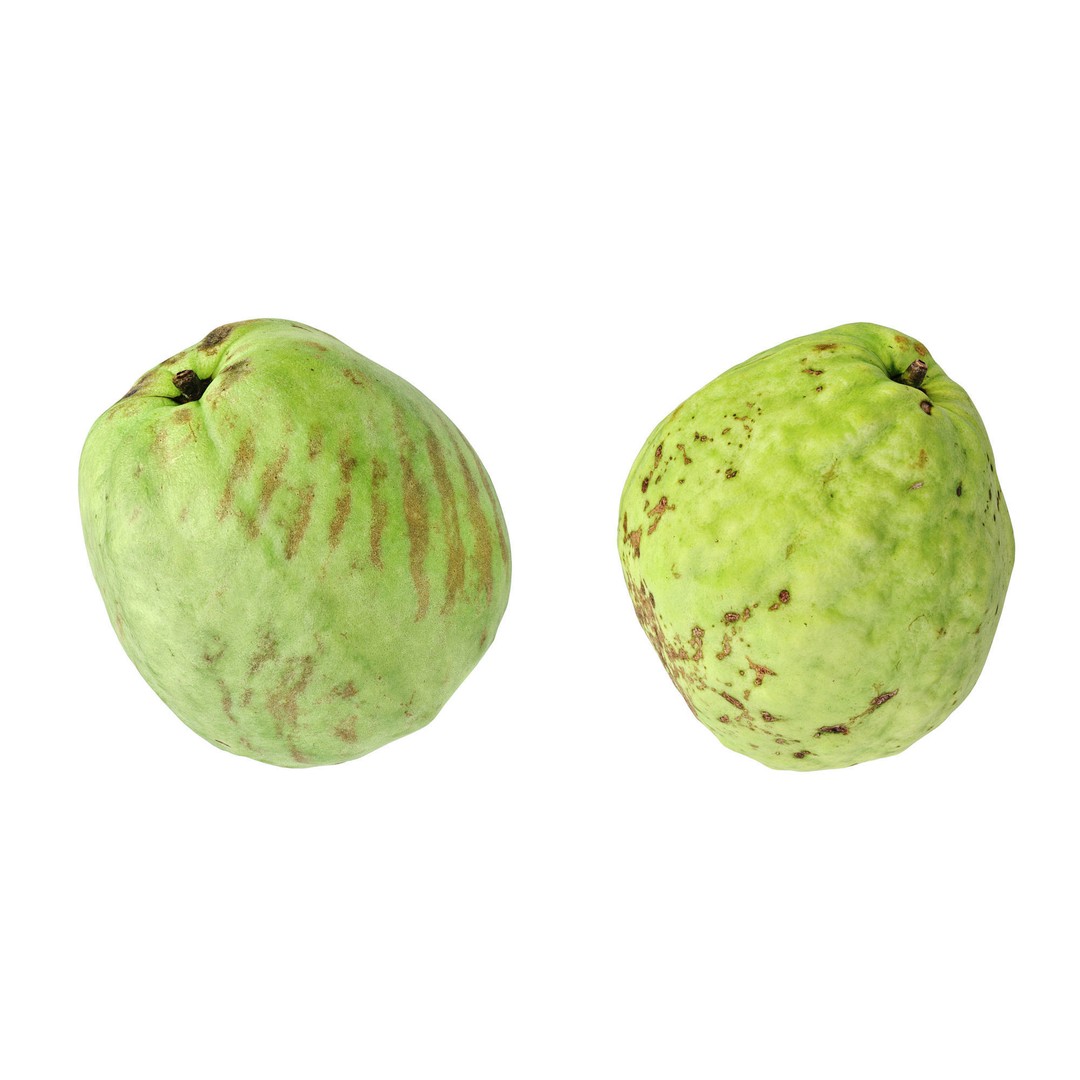 Guava 3D Model – High Poly Photogrammetry Asset, FBX & OBJ - View 10