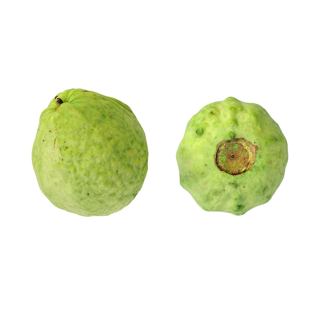 Guava 3D Model – High Poly Photogrammetry Asset, FBX & OBJ - View 11