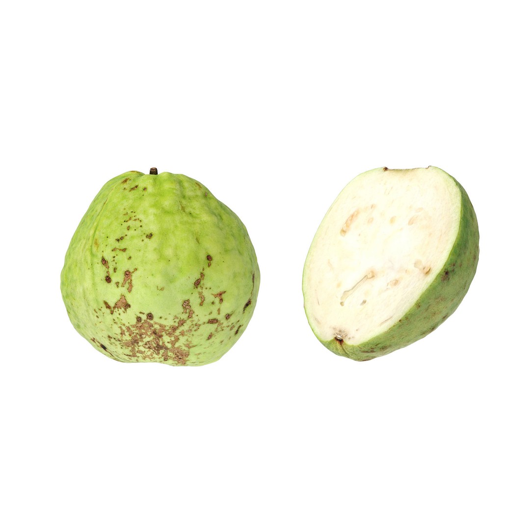 Guava 3D Model – High Poly Photogrammetry Asset, FBX & OBJ - View 13