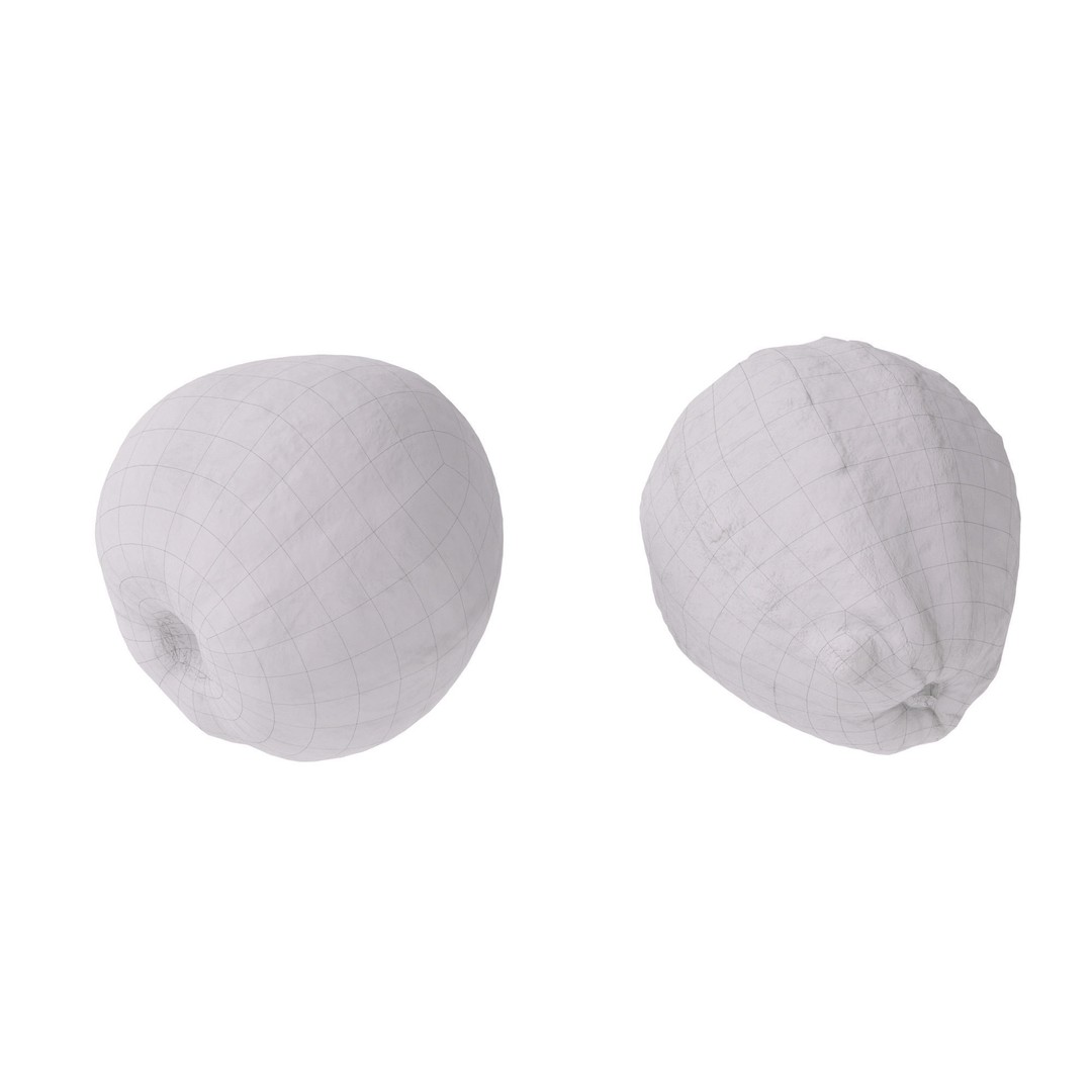 Guava 3D Model – High Poly Photogrammetry Asset, FBX & OBJ - View 16