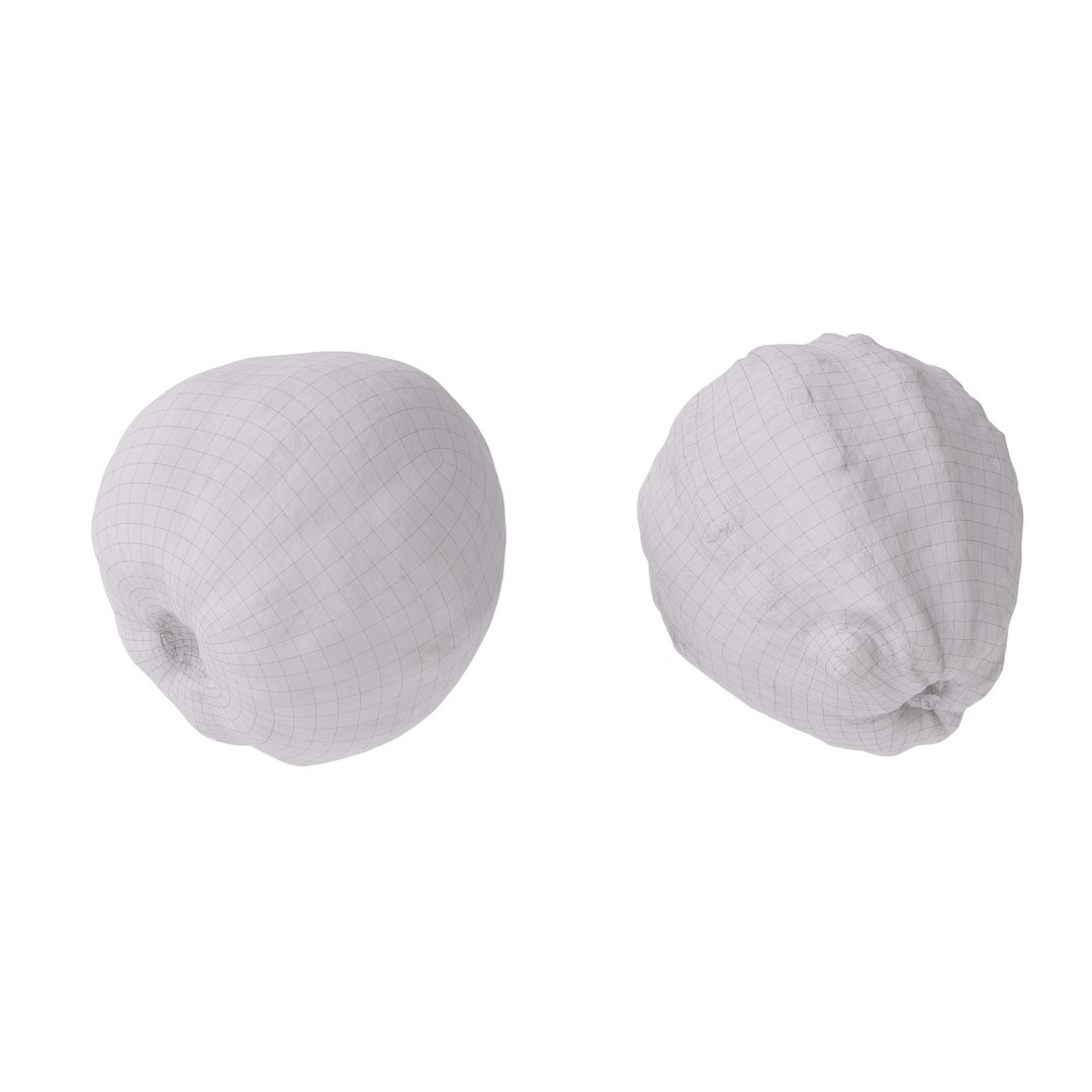 Guava 3D Model – High Poly Photogrammetry Asset, FBX & OBJ - View 17