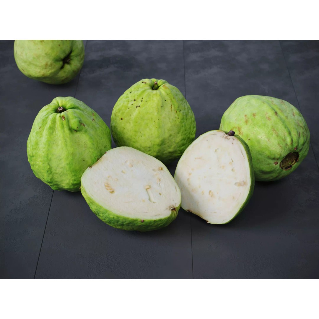 Guava 3D Model – High Poly Photogrammetry Asset, FBX & OBJ - View 2
