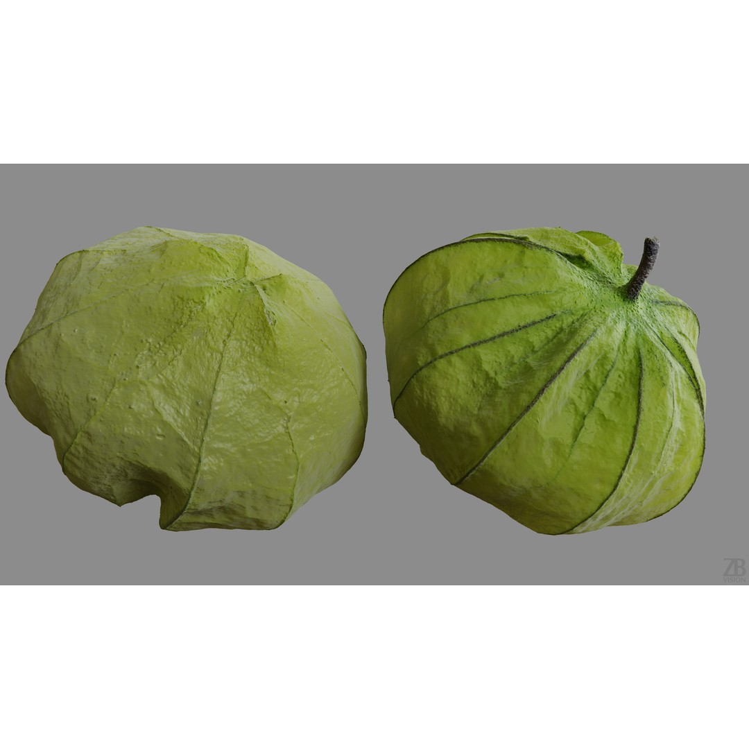 Tomatillo 3D Model – High Poly PBR Vegetable Asset, FBX/OBJ