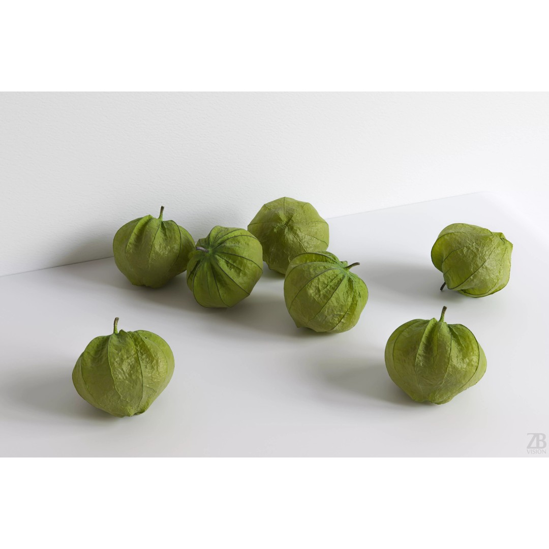 Tomatillo 3D Model – High Poly PBR Vegetable Asset, FBX/OBJ - View 2