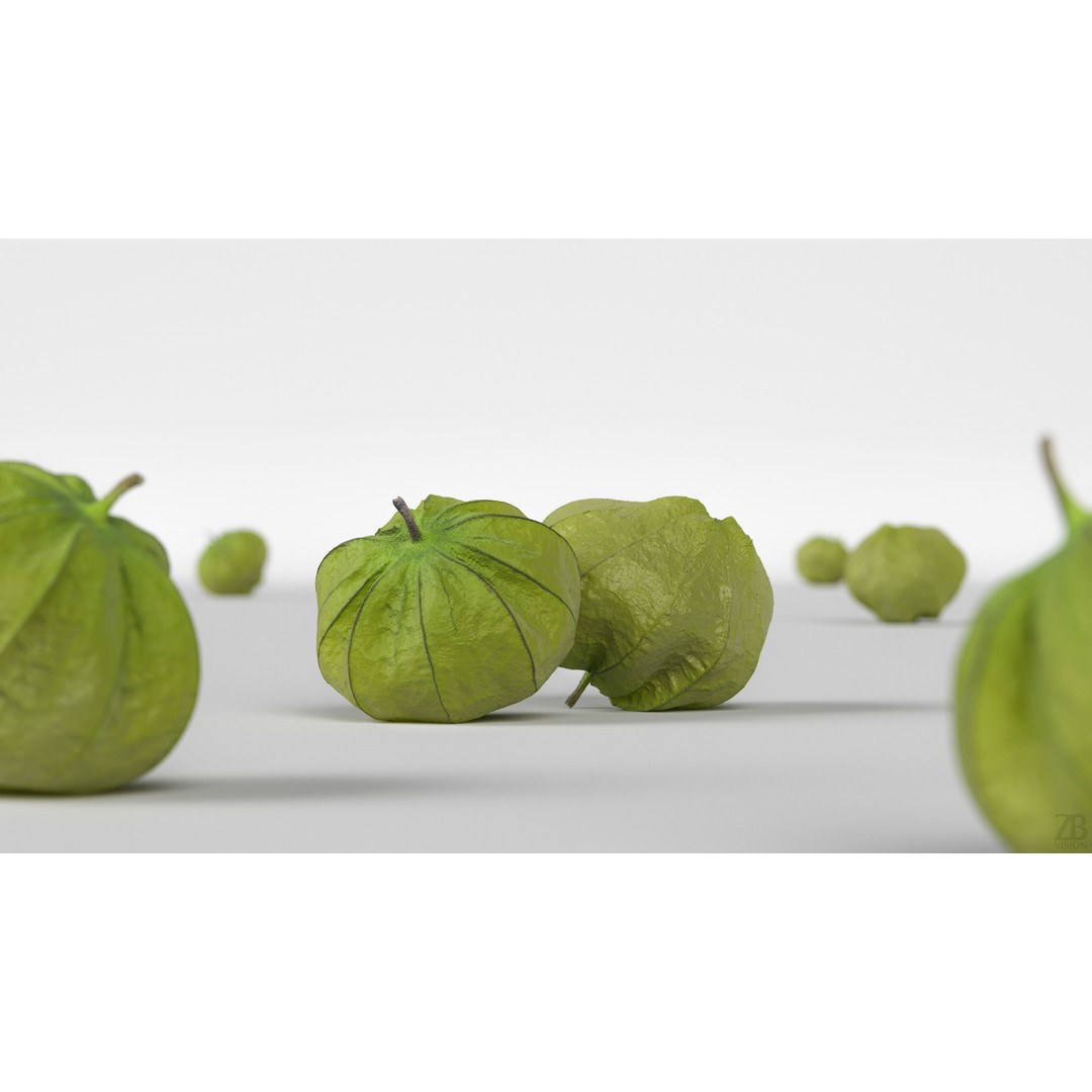 Tomatillo 3D Model – High Poly PBR Vegetable Asset, FBX/OBJ - View 3