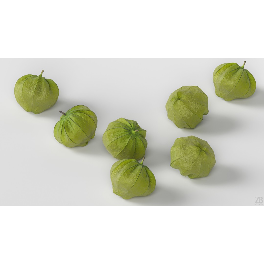 Tomatillo 3D Model – High Poly PBR Vegetable Asset, FBX/OBJ - View 4